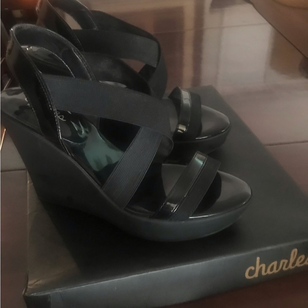 Charles by Charles David Black Wedge Sandals